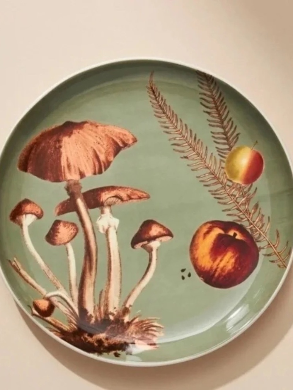 NWT Anthropologie Nature Studies Fungi Dessert Salad Plate